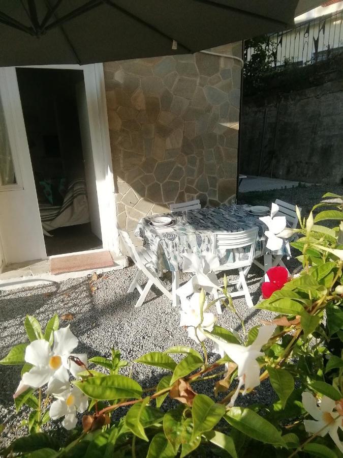 Villa Daniela - Mare E Relax Sanremo Dış mekan fotoğraf